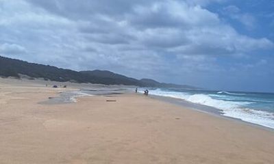 Shore Excursion : Epic Safari & Surf, iSimangaliso Wetland Park