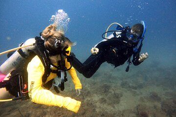 Explore Puerto Rico's Reefs in a Beginner Scuba Dive