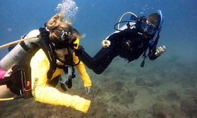 Explore Puerto Rico's Reefs in a Beginner Scuba Dive