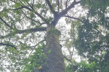 Hiking in a Nature Exploration Canyon
