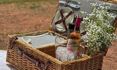 Romantic Picnic in Belogradchik