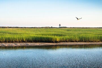 National Seashore Tour with Guided Hike