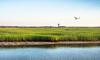 National Seashore Tour with Guided Hike