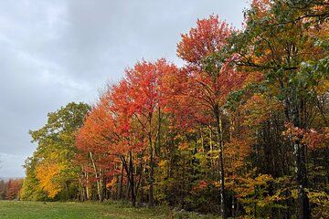 Vermont Wayfinders Fall Foliage Private Tour