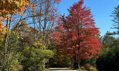 Vermont Wayfinders Fall Foliage Private Tour