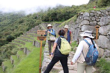 Machu Picchu Private Guide – 3 Hour Experience
