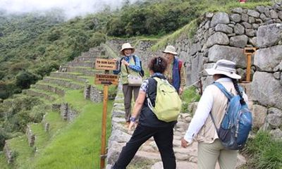 Machu Picchu Private Guide: 3 - Hour Experience, Choose Language