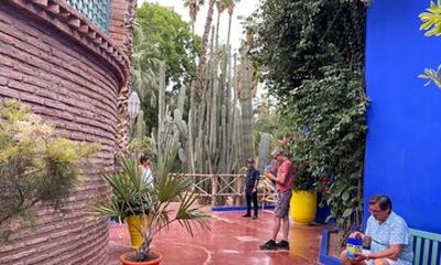 Explore Majorelle Garden and Immerse in Marrakech's Culture