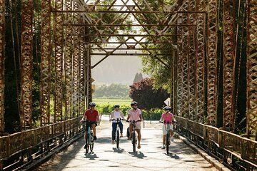 Half Day Guided Electric Bike Wine Tasting Tour with Lunch