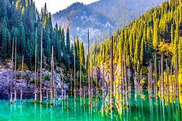 Private 10 Days Classic Kazakhstan Family Tour, Exclusive Car