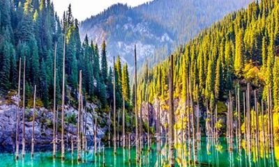 Private 10 Days Classic Kazakhstan Family Tour, Exclusive Car