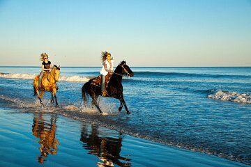Bali Ubud Zipline And Horse Riding On the Beach