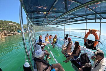 Clear Boat Experience: departure from Sesimbra