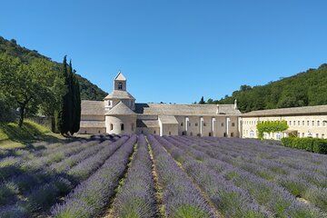 On the lavender way from Gordes to Sault via Sénanque