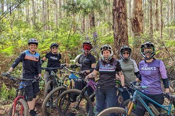 Local Gems 3 Hour MTB Small Group Tour