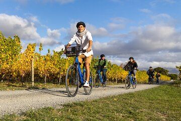 Winter Wine Wander Self guided Biking and Wine Trail Experience