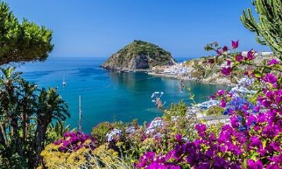 Ischia Minivan Tour with Tastings