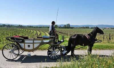 Sparkling carriage ride through Krems and the Wachau vineyards