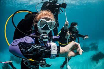 One-Day Scuba Diving Certification Course