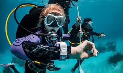 One-Day Scuba Diving Certification Course