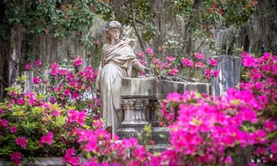 Savannah’s Silent Stories: Private 7 Cemetery Tour