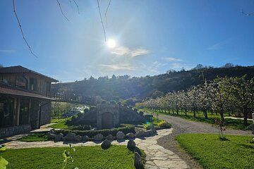 Rakija Distillery Guided Tour and Tasting