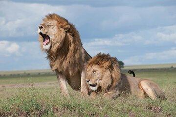 3 Day Serengeti And Ngorongoro Safari Adventure
