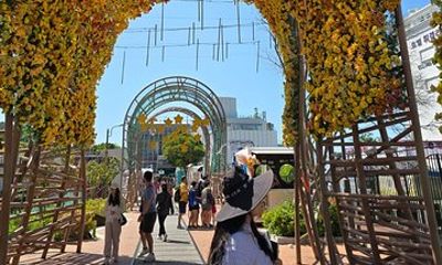 Busan in Bloom: 2 Days of Coastal Beauty and Calm
