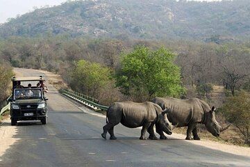 Half Day Tala Game Reserve and Phezulu Safari Tour from Durban