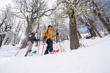 Explore Cerro Lopez 4x4 Ride, Snowshoe Trek & Gourmet Escape