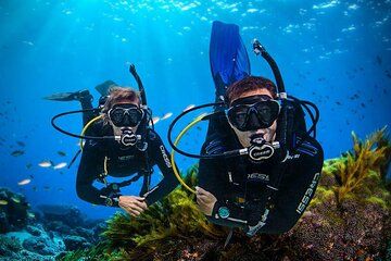 Explore Jounieh: Scuba Diving in Lebanon