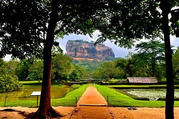 Sigiriya & Dambulla Day Tour from Hotels in Ahungalla/Bentota