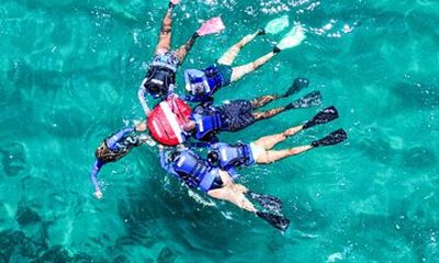 Snorkel Dive with Turtles