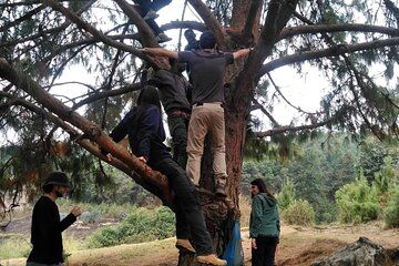 Burundi Private Birdwatching Adventure