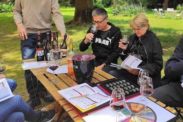 Fronton Small Group Wine Tour from Toulouse