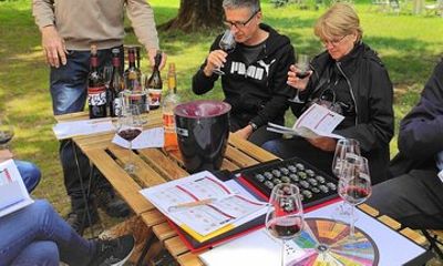 Fronton Small Group Wine Tour from Toulouse