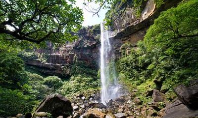 Pinaisara Waterfall Half Day Tour Mangrove Kayaking and trekking