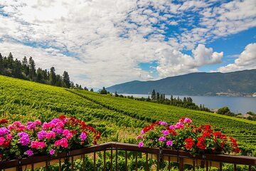 Sip & Savor: Private West Kelowna Wine Trail Escape