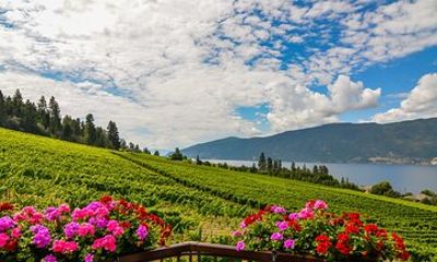 Sip & Savor: Private West Kelowna Wine Trail Escape
