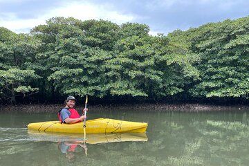 Iriomote’s Adventure: Pinaisara Falls Canoe and Trekking Tour