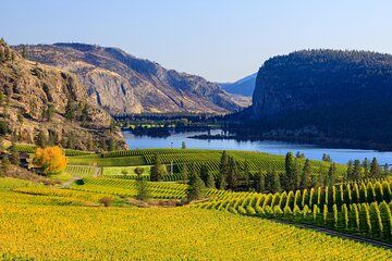 Vernon Private Wine & Boat Tour on Okanagan Lake
