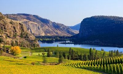 Vernon Private Wine & Boat Tour on Okanagan Lake
