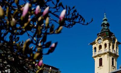 City Walks in Szeged