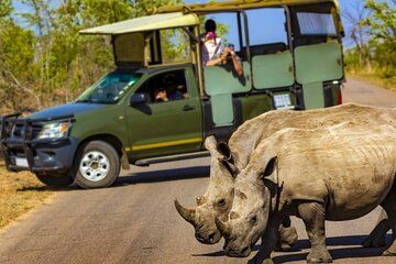 Kruger National Park Safari Adventure 3 Days from Johannesburg