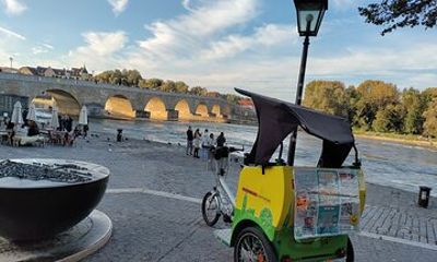 Regensburg Rickshaw Pedicab City excursion 60min