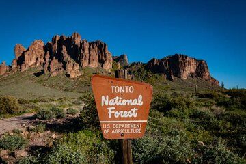 From Phoenix Private Offroad Sonoran Desert and Sunset Tour