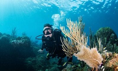 Experience Scuba