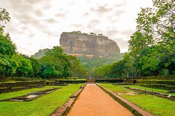 Sigiriya Hike & Minneriya Safari Private Full Day Tour