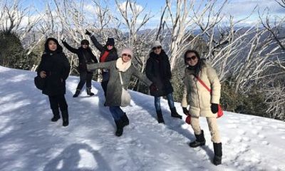 Mount Buller Snow Day Boutique Trip - Max 11 People