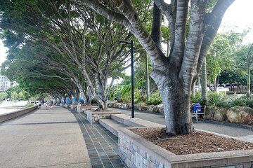 Brisbane South Queensland Scavenger Hunts